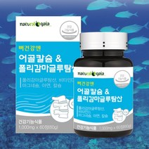 어골칼슘 폴리감마글루탐산 피지에이 마그네슘 비타민D 골다공증 예방 뼈에 좋은 영양제, 1000mg x60정