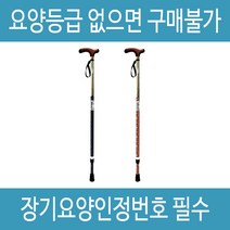 복지용구 지팡이 LS-20F 노인 어르신 효도 할머니지팡이 실버용품, 오렌지, 감경대상자 9%