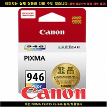 캐논 PIXMA TS3195 CL-946 컬러/정품INK, 1