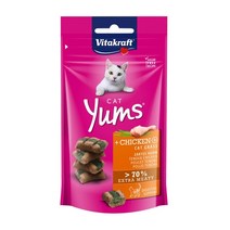 블루펫 독일산 고양이 영양 간식 비타크래프트31531 캣얌 치킨&캣그라스 40g, 1봉