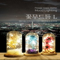 드라이 플라워 무드등 인테리어 LED 튼튼한 유리돔 유리병 시들지 않는 꽃 여자친구선물 생일 선물 임신축하꽃 고백 기념일선물 이색선물 여친선물, 기억