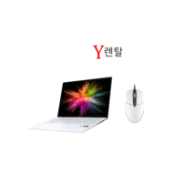 LG그램 17인치 노트북렌탈 단기 대여 렌트 노트북, 60일 렌탈, 17Z90N, 코어i5, 256GB, 16GB, WIN10 Home