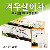 박달재 겨우살이차(곡기생) 1박스(50봉) 차/건강/식품/웰빙/음료, 0없음, 본상품 1