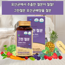 출산후철분제 비헴철 여성철분제 유산균철분제 어린이철분제 청소년철분제 산모철분제 그린철분 임산부 수유부 산모 임신준비 생리중 생리 월경 남자 남성 철분제제 철분 철분유산균 미강유, 2통_(6개월분)