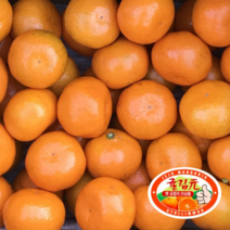 담백한풍여사 당도선별 제주 귤림원 감귤 1kg 3kg 4.5kg 산지직송, 1)귤림원 감귤 1.5kg(2S-L)