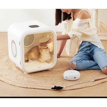 강아지 드라이 룸 애완 둥물 드라이기 건조기 고양이, 50L