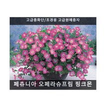 꽃이 계속피는 씨앗... - (제라늄 매버릭 살몬 5립), 페츄니아 오페라슈프림 핑크몬 10립/고급종