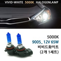 5000K 비비드화이트 현대 더뉴i40 15-17년 전조등 상향등 하향등 안개등 자동차램프, 5000K 더뉴i40 하향등 9005(HB3)(2개1세트), 1세트