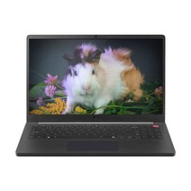 LG 그램북 AI 15 코어 Ultra5 타이탄 블랙