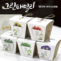 아트박스/에이치플러스몰 그린패밀리 잔디화분 W0BBFC2, 02_마마의 허브(바질)