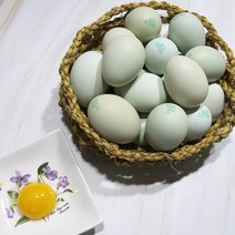 청계유정란 해뜨락 청란, 1구, 20구