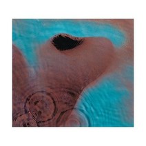 Meddle - Pink Floyd LP 바이닐