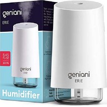 쿨 미스트 초음파 조용한 공기 가습기 자동 습도 조절 야간 조명, 250ML, 화이트