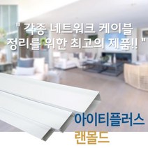 국내생산 PVC 랜덕트(LAN) 60x40x1m 단품