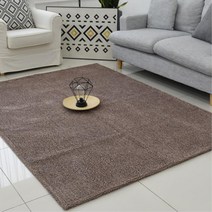 스튜디오 볼륨감있는 갈색 샤기 러그 스튜디어 사진관 세련 빌라 기모