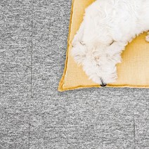 GYI755030[콘티고#]매트 라이트그레이 바닥 카페트