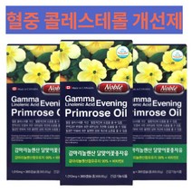 감마리놀렌산 면역과민반응 콜레스테롤 혈행 개선제 여드름 여성갱년기 hbcc복합체 영양제 180 360 캡슐, 1통 180캡슐