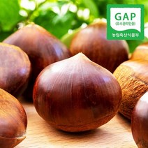 [웰굿][GAP인증] 산지직송 충남 공주 정안 옥광밤 4kg(중)