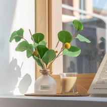 모먼트 유칼립투스 골든볼 디퓨저 160ml, 페어 프리지아