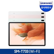 삼성전자 갤럭시탭S7 FE SM-T733, 미스틱 그린, 64GB, Wi-Fi