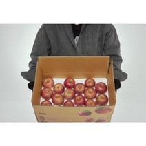 청년농부 못난이 부사사과 5KG, 5kg중과