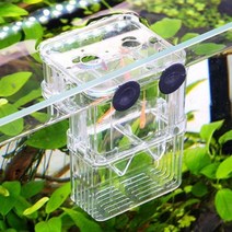 희귀열대어 부화통 구피분양 금붕어 산란통 수족관용품, 소형