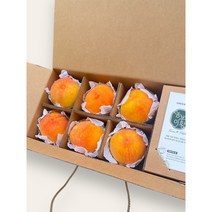 [1등 고당도] 납작복숭아 말랑이 백도 딱딱이 황도복숭아 말랑이 1.8kg 2kg 3kg, 으뜸황도복숭아(대과)