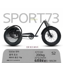 오프로드 전기 자동차 전동 자전거 소형 접이식, G, 18AH