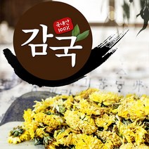 제천약초생활건강 감국 100g, 1개, 제천약초생활건강감국100g