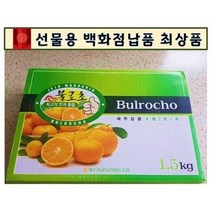 초 고당도 불로초 감귤 1.5kg 3kg 선물용 제주 당도선별 당도보장 타이백 귤 로얄과 프리미엄 백화점납품용 선물세트 불로초감귤
