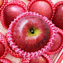 햇 부사사과 2kg 3kg 5kg 10kg 가정용 흠집실속사과, 소과(10~13과)