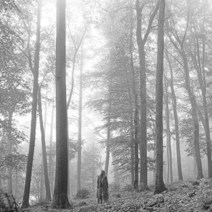 테일러 스위프트/정규 8집 FOLKLORE, 단품
