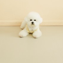 휘슬펫 롤타입 강아지 매트 셀프 시공 PVC 미끄럼방지 50cm, 크리미 베이지, 10m
