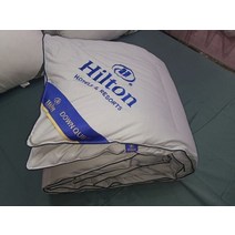 호텔구스이불 덕다운이불 힐튼 호텔 퀼트 럭셔리 거위 깃털 벨벳 두꺼운 겨울 홈 호텔 봄 여름 가을 겨울 담요, 48x74cm 베개, 04
