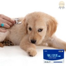 캐니코프 반려동물영양제 30캡슐 강아지켁켁거림 기관지 면역력 기침약 애견영양제, 상세페이지 참조, 상세페이지 참조