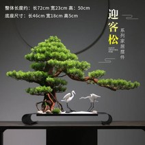 인테리어 분재 소나무분재 해송 해송분재 명품소나무 축하 대형 소형 화분, 017환영송(아치교형운학)