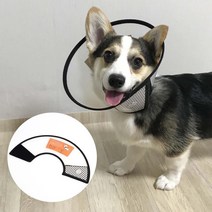 N 강아지 고양이 중성화 넥카라 반투명 상처관리 깔대기 아플때, 1개, 7호
