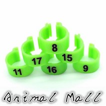 새 애완동물 꾸미기용품 용품 애완 동물 캐리어 비둘기 앵무새 10 색 디지털 발 링 총검 마킹 100 피스ring ring festivalring finger wedding r, Green+S