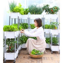 상추 키우기 텃밭 야채 스마트팜 무토 수경 채소 화분 집에서 발코니, 바퀴가달린이중층등반퍼걸러