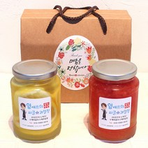 임셰프 수제청 선물세트 500ml, 레몬청+자몽청