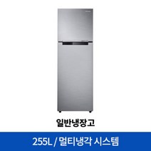 삼성전자 일반냉장고 RT25NARAHS8 [255L]