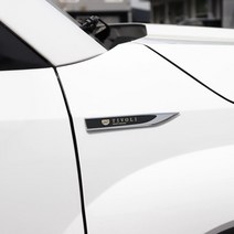 [간지] 티볼리에어 휀다 꾸미기 레터링 DIY 포인트 튜닝 엠블럼 익스테리어 몰딩, 블루(2P)