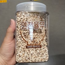 월드그린 연천율무 500g, 1개