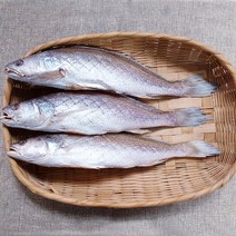 남해안 삼천포 반건조생선 제수용 생선 모듬, 민어조기30cm이상 3미