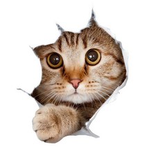 차량용 냉장고 미니 냉온장고 캠핑용 온장고 3Ratels CM29 사랑스러운 고양이 페르시아 Birman Bombay 영국, 10 CM29-10_02 20cm(7.87 inch)