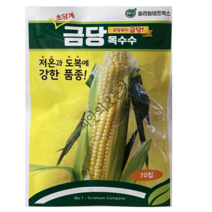 금당초당옥수수 씨앗 70립 저온과 도복에 강한 고품질 초당계 생식용 옥수수 종자, 03.백초당옥수수