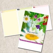 주보용지 3단 주보 교회 예배 주보인쇄 기성 디자인 칼라 청년부 주보 제작 기독교용품, EW-13