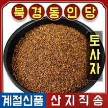 북경 동인당 야생 토사자 갯실새삼 한방차 한방재료 500g, 2봉