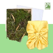산양산삼 장뇌산삼 3뿌리 산양삼장뇌삼 장래삼 산양산삼주 가격 산삼주 50대 남자 엄마 사위 생일 팔순 시댁 80대 할머니 선물 부모님 환갑 60대 어르신 선물 장모님 아버지 생신