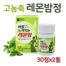 바른약초 레몬밤 삼각티백, 100g, 1개
